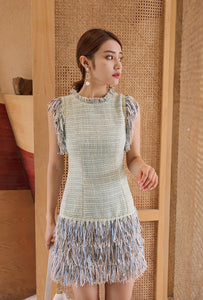 Sleeveless Tweed Fringe Bodycon  Casual Mini Dress