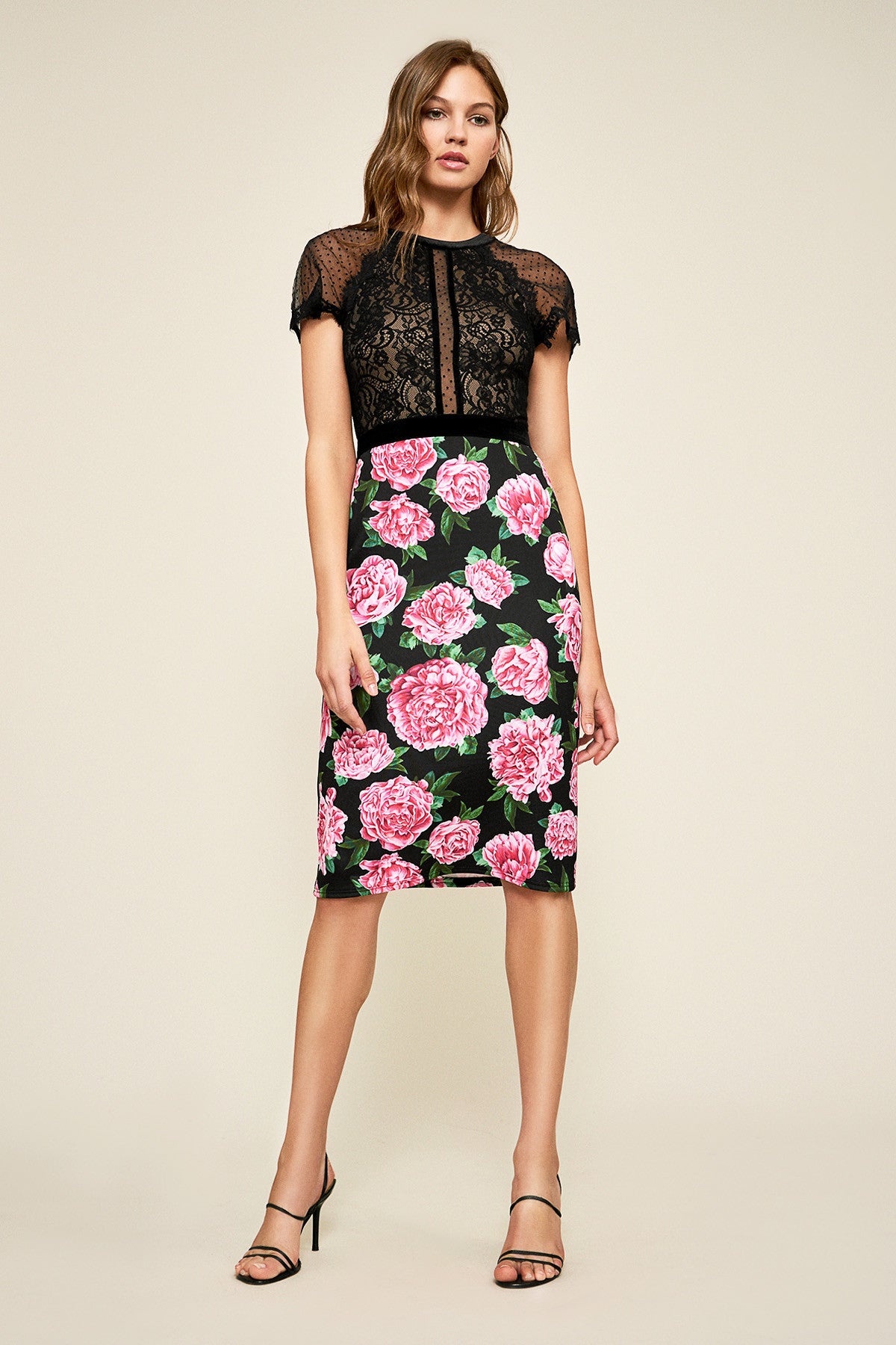 即着!国内発!Tadashi Shoji dress サイズ4 TADASHI SHOJI-ROSTA FLORAL PRINT DRESS - Size 4 in Austin