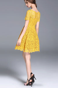 Short sleeve flare lace dress