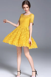 Short sleeve flare lace dress