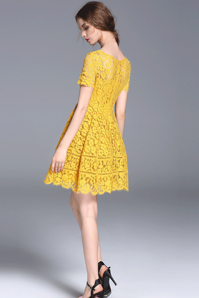 Short sleeve flare lace dress  Vicky and Lucas
