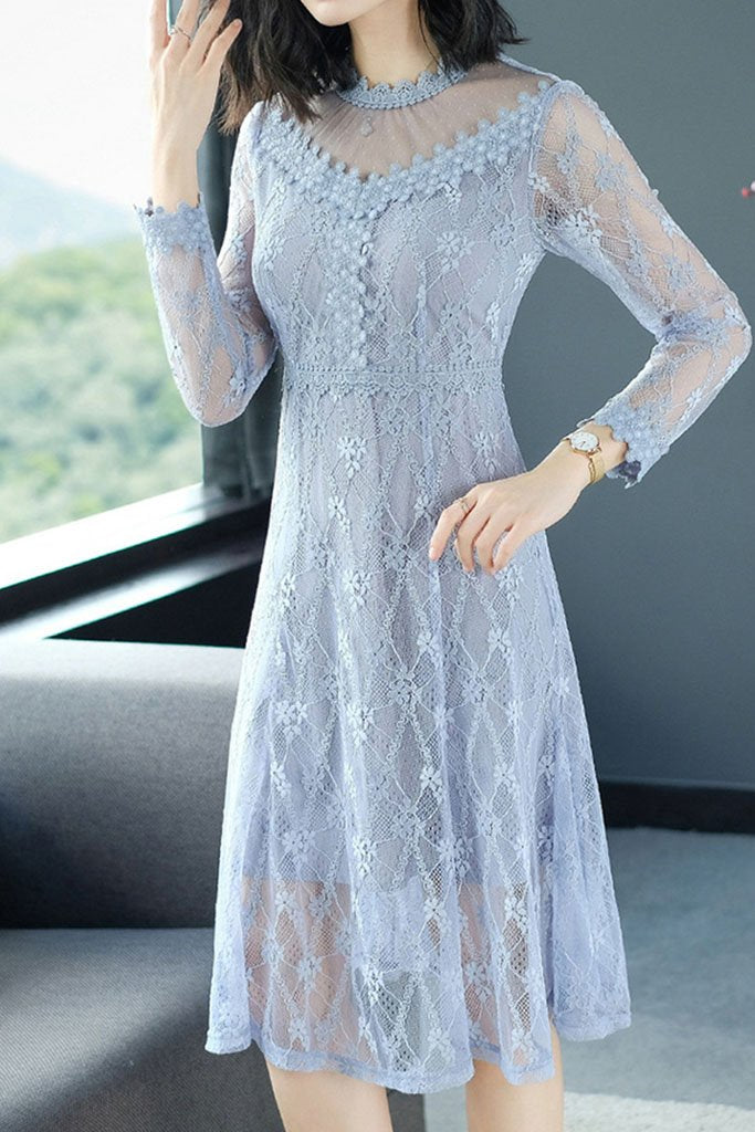 Embroidered Lace Fit & Flare Dress
