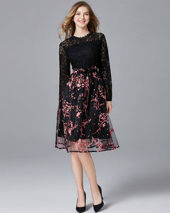 Long Sleeve Contrast Lace A-line Dress